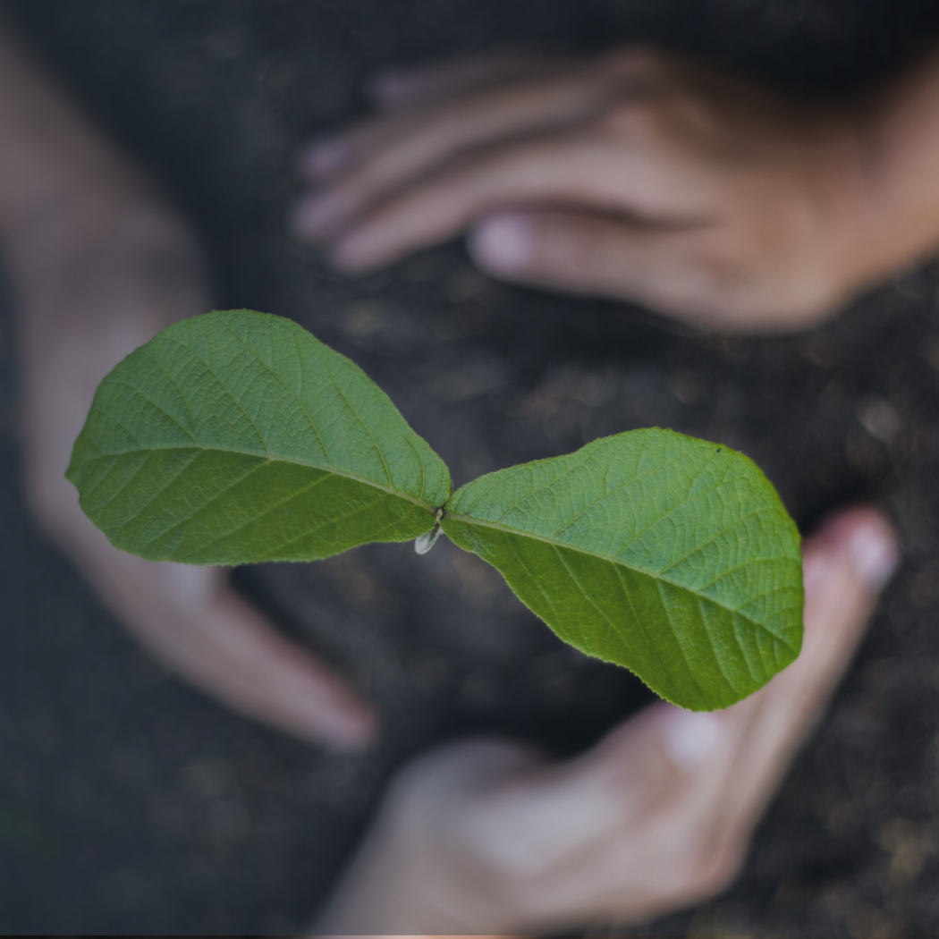 Support the mosque - IEFI Magodo mosque